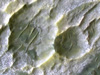 observation of mars indicating the presence of chloride salt deposits