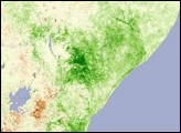 East Africa Greens Up from Heavy Rains