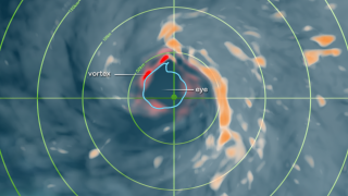 The eye of the storm is shown in blue and vorticity in red.  