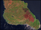 Burn Scar on Santa Catalina Island