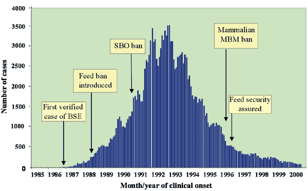 Figure. Time course of epidemic bovine spongiform encephalopathy in the United Kingdom, 1986-2000, with dates of major precautionary interventions. The mammalian ban on meat and bone meal in March 1996 extended a 1994 ban for farmed food animal species to include all mammalian species. SBO = specified bovine offals (brain, spinal cord, thymus, tonsil, spleen, and intestines from cattle >6 months of age); MBM = meat and bone meal (protein residue produced by rendering).