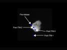 This image shows how Deep Impact's impactor targeted comet Tempel 1 as the spacecraft made its final approach in the early morning hours of July 4,