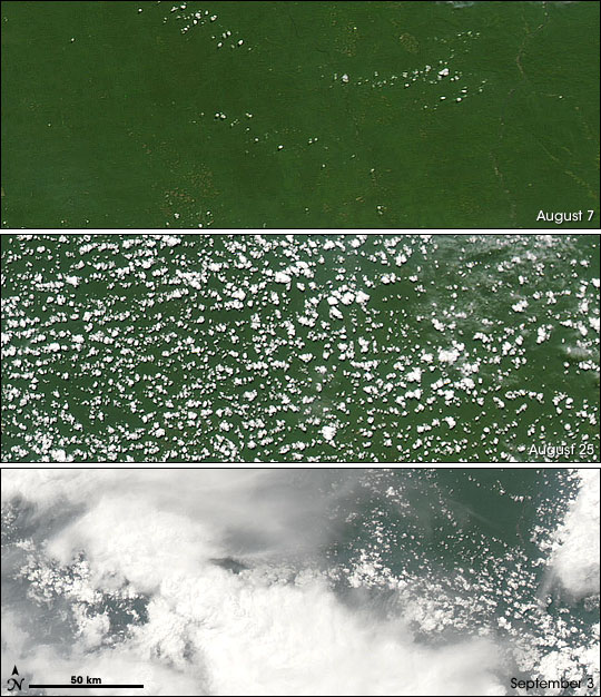 Initiation of Rainy Season in Southern Amazon