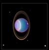 A recent Hubble Space Telescope view reveals Uranus surrounded by its four major rings and by 10 of its 17 known satellites. This false-color image was generated by Erich Karkoschka using data taken on August 8, 1998.