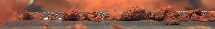 Pan and Zoom of 'Rosy Red' Soil in Scoop