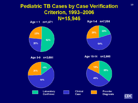 Slide 19: Pediatric TB Case Verification Criterion, 1993-2006. Click D-Link to view text version.