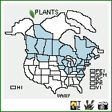 Distribution of Vaccinium myrtilloides Michx.. . Image Available. 