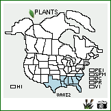 Distribution of Vaccinium virgatum Aiton. . Image Available. 