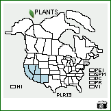 Distribution of Pleuraphis rigida Thurb.. . Image Available. 