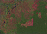 Deforestation in Sumatra