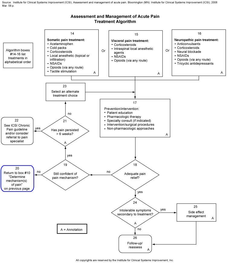 Assessment and Management of Acute Pain. Treatment Algorithm.