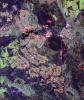 Space Radar Image of Canberra, Australia