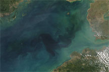 Chlorophyll in the Gulf of Tonkin