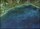 Red Tide off Texas Coast