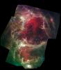 Spitzer Reveals Stellar 'Family Tree'