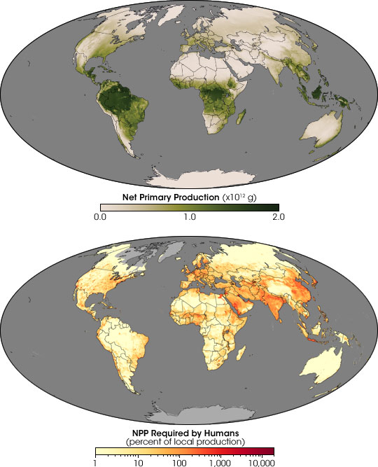 Human Demands on Earth's Plants