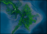 Mississippi River Delta