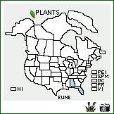 Distribution of Eustachys neglecta (Nash) Nash. . Image Available. 