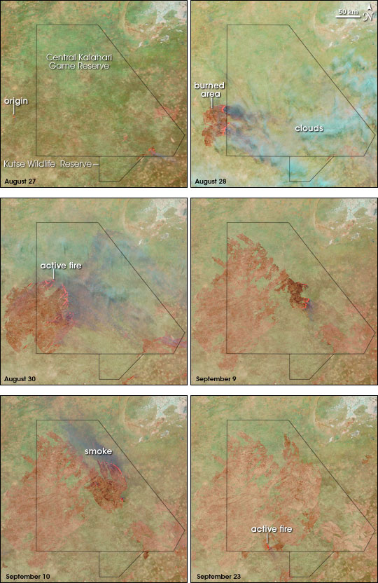 Huge Bushfire in the Kalahari