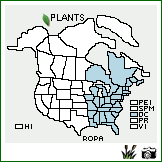 Distribution of Rosa palustris Marsh.. . Image Available. 