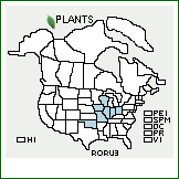 Distribution of Rosa ×rudiuscula Greene (pro sp.) [arkansana × carolina]. . 