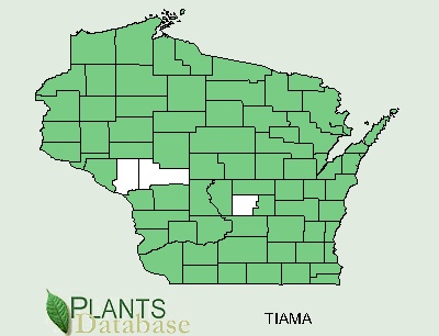 Wisconsin County Distributional Map for Tilia americana var. americana