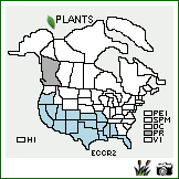 Distribution of Echinochloa crus-pavonis (Kunth) Schult.. . Image Available. 