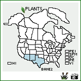 Distribution of Baccharis neglecta Britton. . Image Available. 