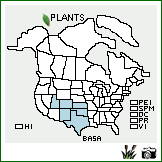 Distribution of Baccharis salicina Torr. & A. Gray. . Image Available. 