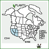 Distribution of Baccharis sergiloides A. Gray. . 