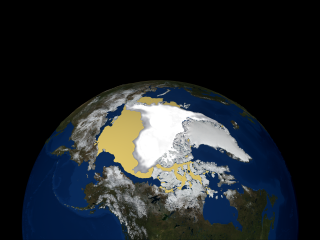 The sea ice image without labels and the graph inset