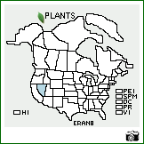 Distribution of Eriogonum anemophilum Greene. . Image Available. 