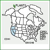 Distribution of Eriogonum collinum S. Stokes ex M.E. Jones. . 