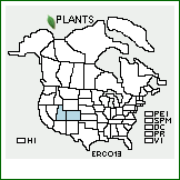 Distribution of Eriogonum contortum Small. . 