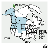 Distribution of Eriogonum flavum Nutt.. . Image Available. 