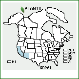 Distribution of Eriogonum parishii S. Watson. . 