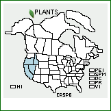 Distribution of Eriogonum spergulinum A. Gray. . 