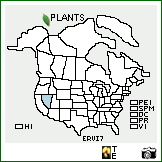 Distribution of Eriogonum viscidulum J.T. Howell. . Image Available. 