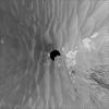 Opportunity at 'Cook Islands' (Vertical)