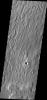 Elysium Planitia