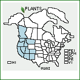 Distribution of Vulpia microstachys (Nutt.) Munro. . Image Available. 