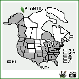 Distribution of Vulpia myuros (L.) C.C. Gmel.. . Image Available. 