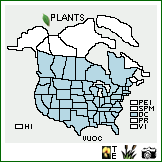 Distribution of Vulpia octoflora (Walter) Rydb.. . Image Available. 