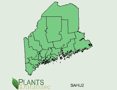 Maine County Distributional Map for Salix humilis