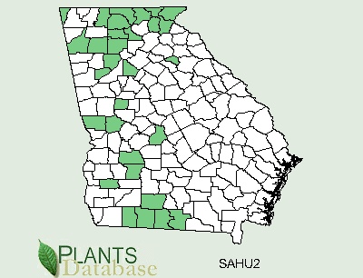 Georgia County Distributional Map for Salix humilis