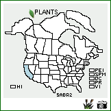 Distribution of Salix breweri Bebb. . Image Available. 