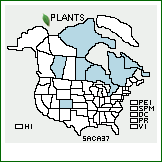 Distribution of Salix calcicola Fernald & Wiegand. . 