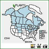 Distribution of Salix candida Flueggé ex Willd.. . Image Available. 