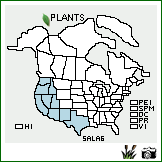 Distribution of Salix lasiolepis Benth.. . Image Available. 