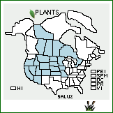 Distribution of Salix lutea Nutt.. . Image Available. 